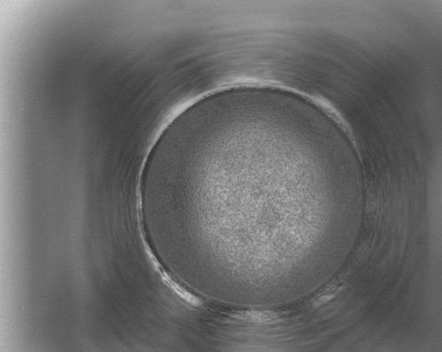 X0000058121287200509301917