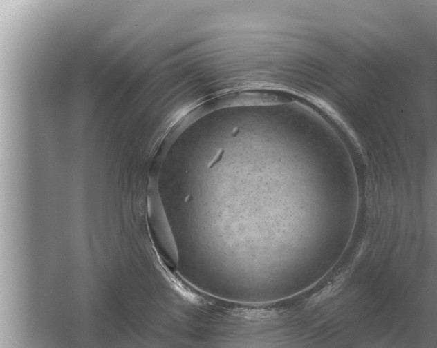 X0000058121289200509301917