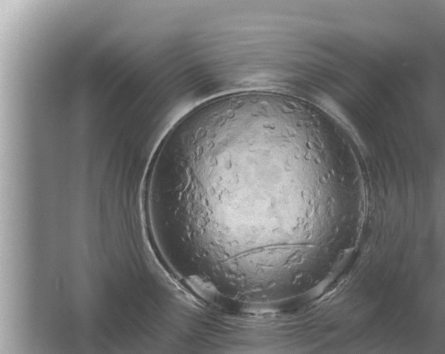 X0000058121291200509301917