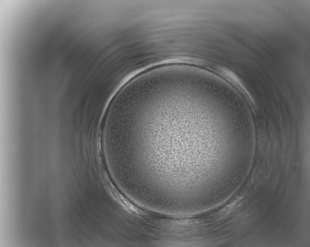 X0000058121292200509301917