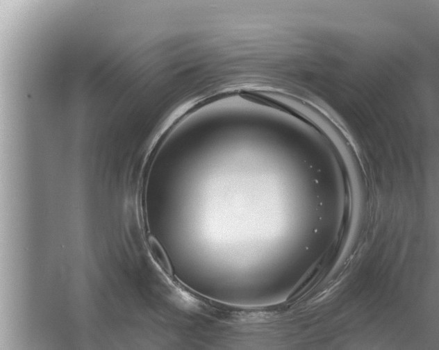 X0000058121293200509301917