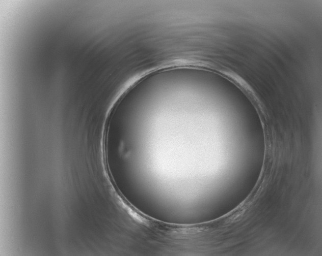 X0000058121294200509301917