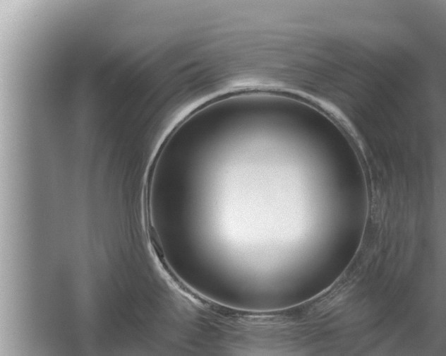 X0000058121295200509301917