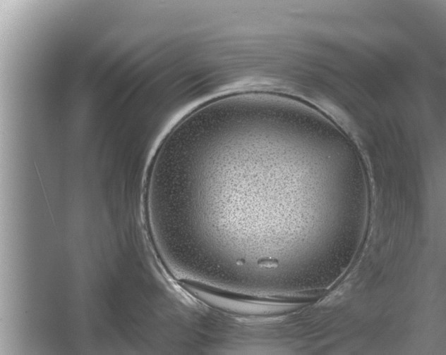 X0000058121296200509301917