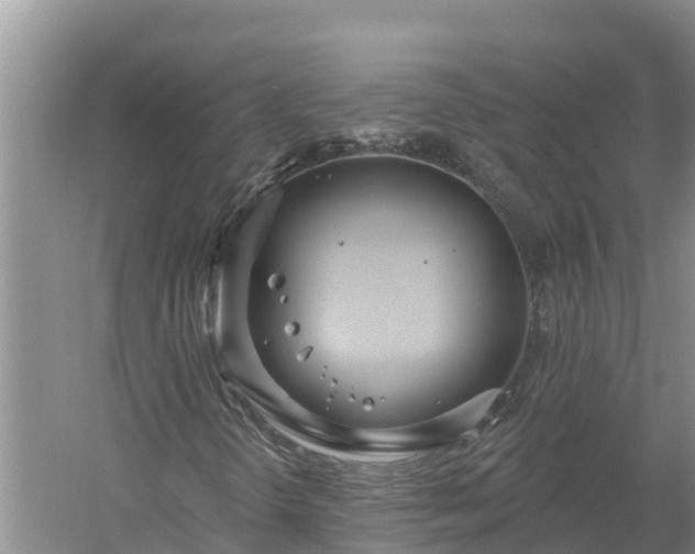 X0000058121298200509301916