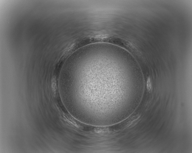 X0000058121299200509301916