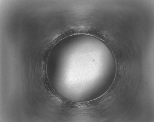 X0000058121301200509301916