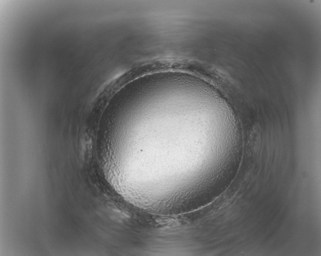 X0000058121302200509301916