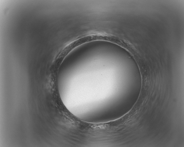 X0000058121303200509301916