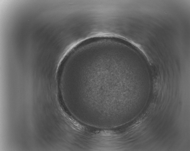 X0000058121319200509301916