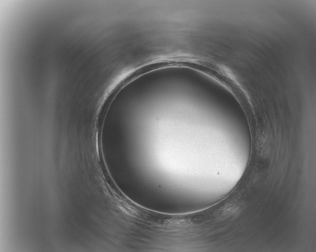 X0000058121320200509301916