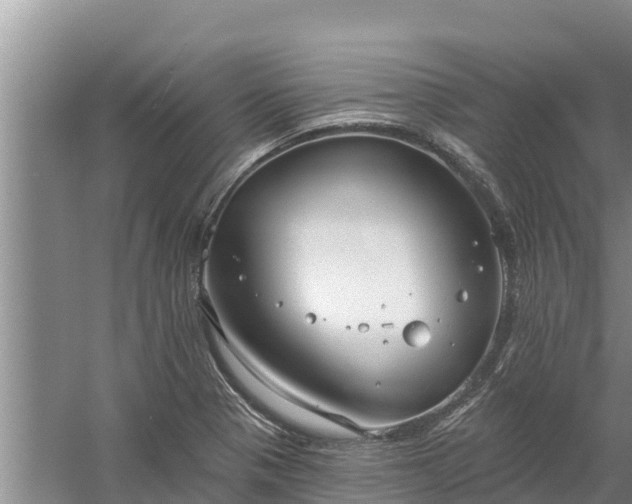 X0000058121321200509301916