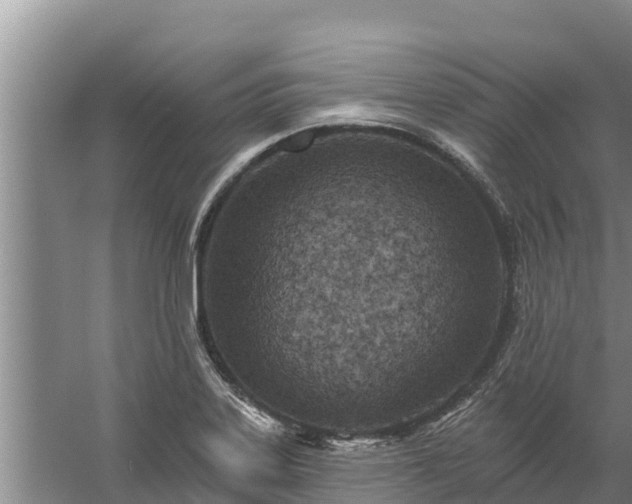 X0000058121323200509301916