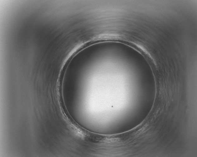 X0000058121325200509301916