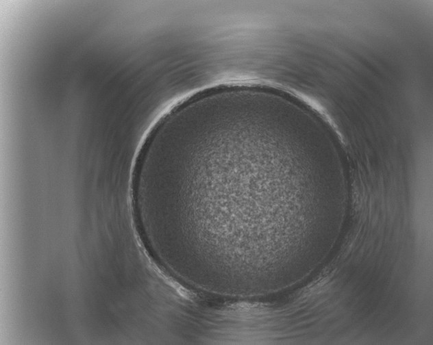 X0000058121327200509301916