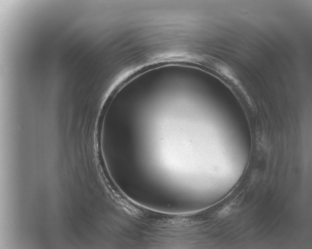 X0000058121328200509301916