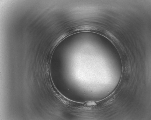 X0000058121329200509301916