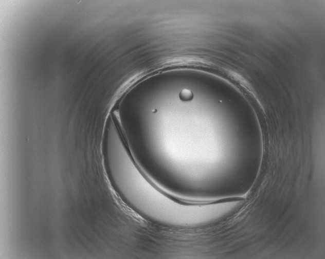 X0000058121330200509301916