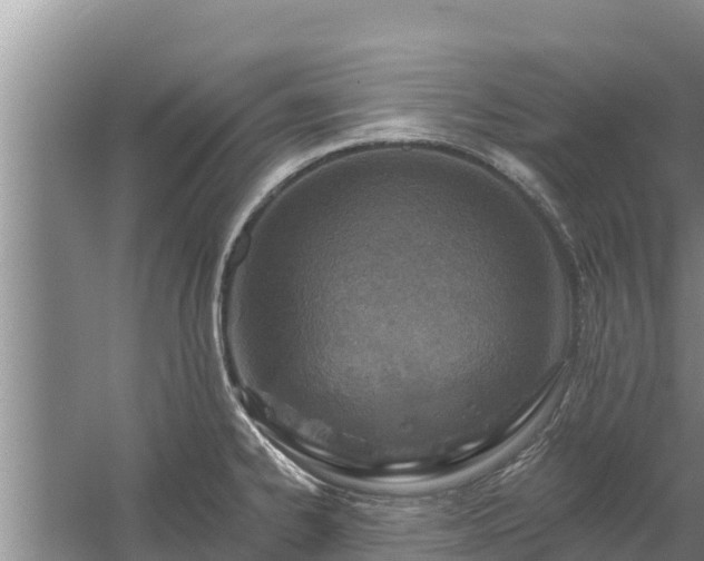 X0000058121334200509301917