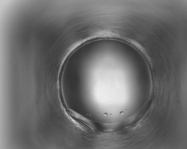 X0000058121335200509301917