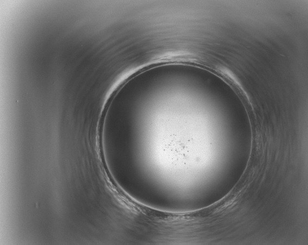 X0000058121336200509301917