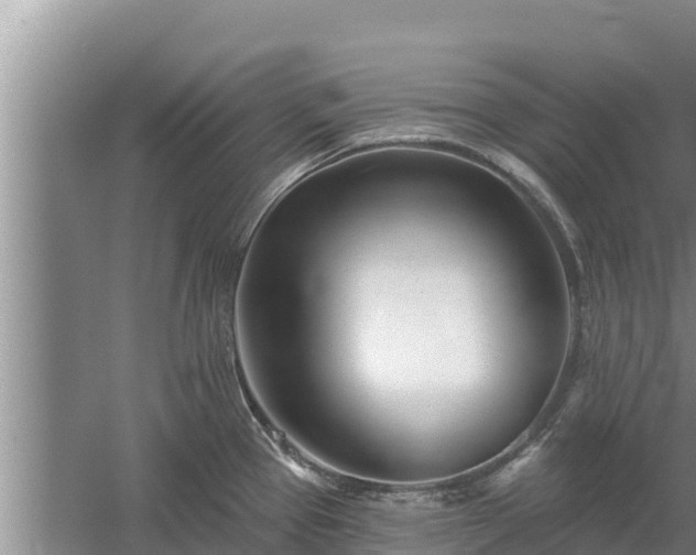 X0000058121337200509301917