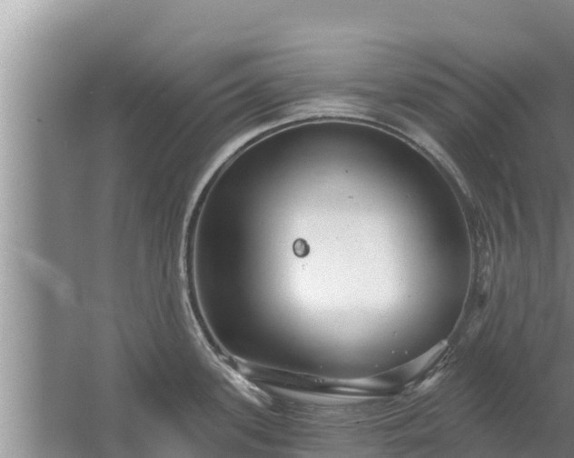 X0000058121339200509301917