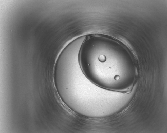 X0000058121340200509301917