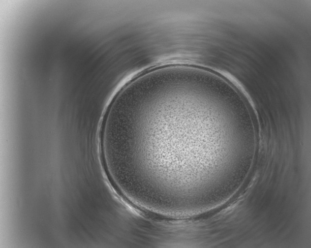 X0000058121341200509301917