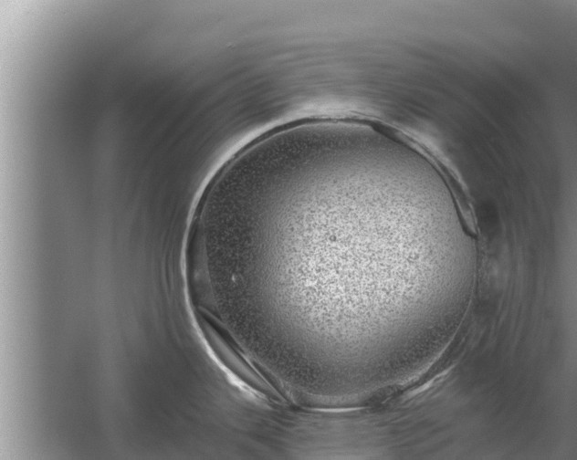 X0000058121343200509301917