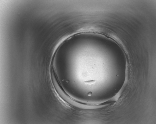 X0000058121344200509301917