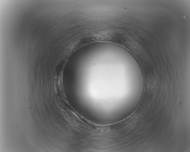 X0000058121346200509301916