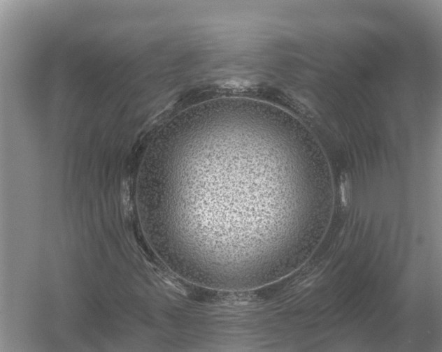 X0000058121347200509301916