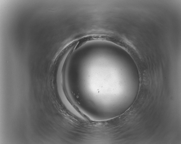 X0000058121352200509301916