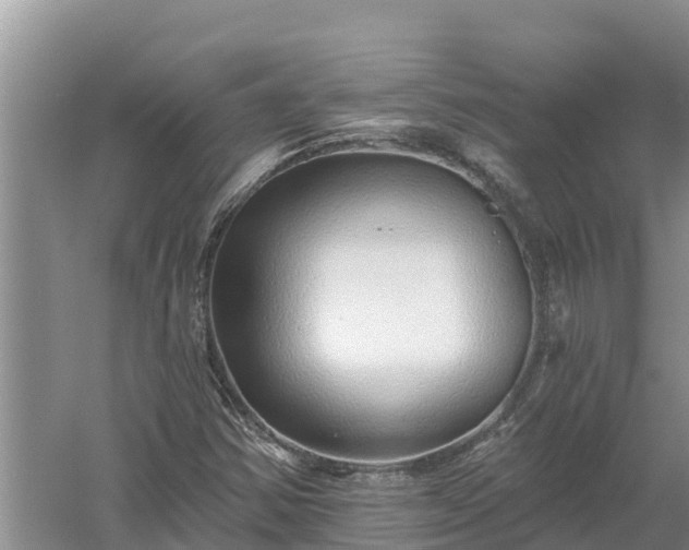 X0000058121354200509301916