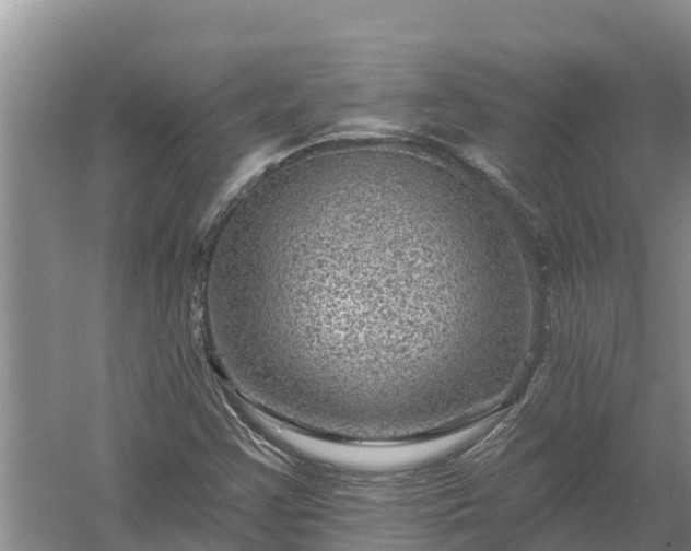 X0000058121355200509301916