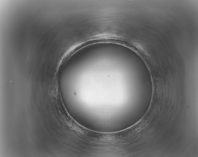 X0000058121358200509301916