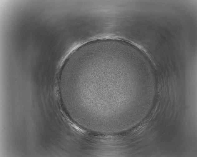 X0000058121359200509301916