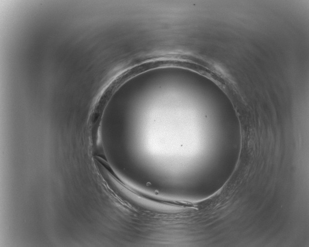 X0000058121360200509301916