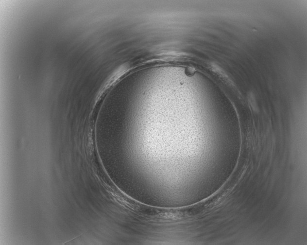 X0000058121362200509301916