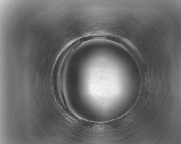 X0000058121364200509301916