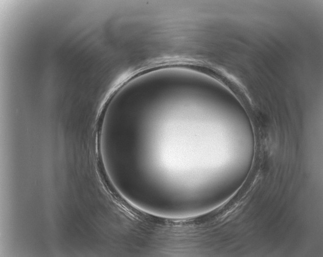 X0000058121365200509301916