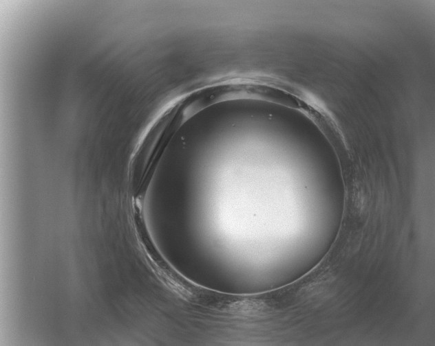 X0000058121368200509301916