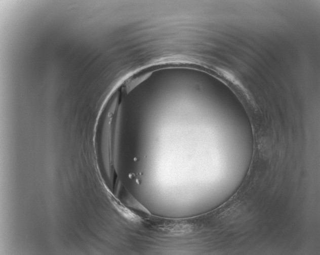 X0000058121372200509301915