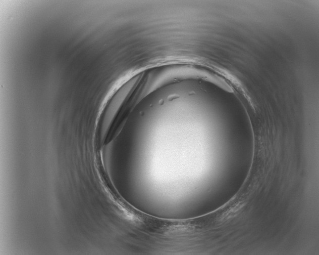 X0000058121373200509301915