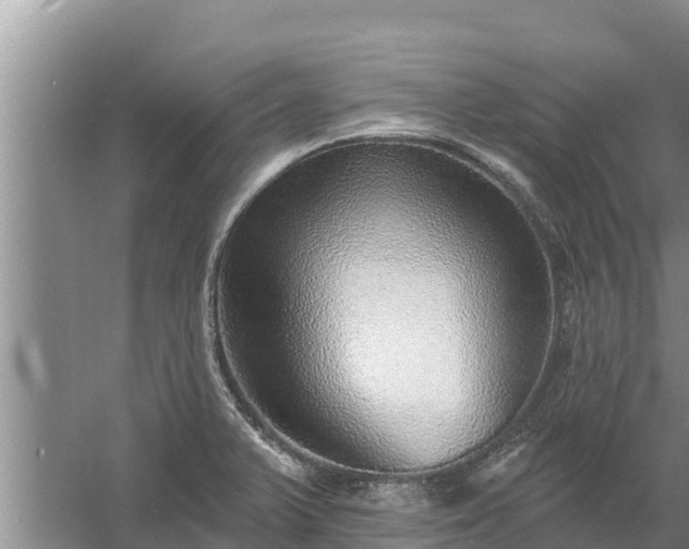 X0000058121375200509301915