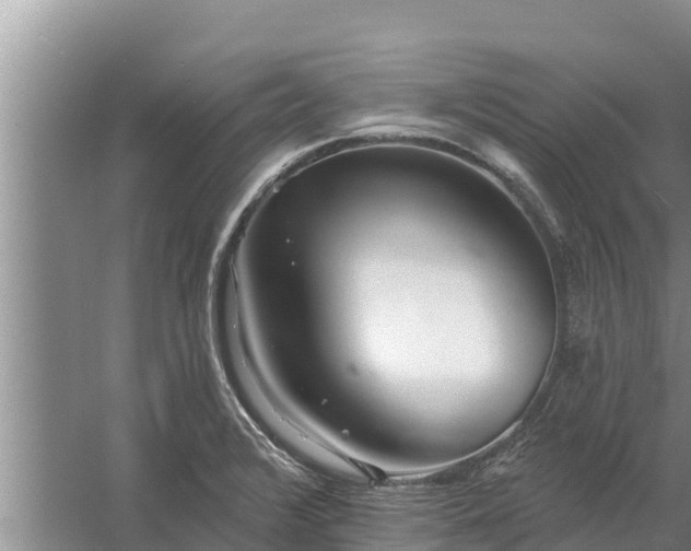 X0000058121376200509301915