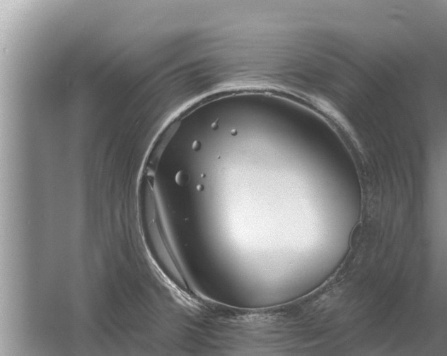 X0000058121380200509301915