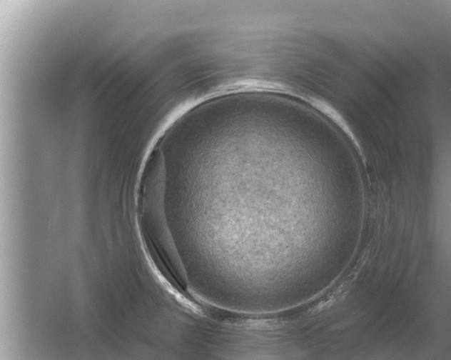 X0000058121381200509301915