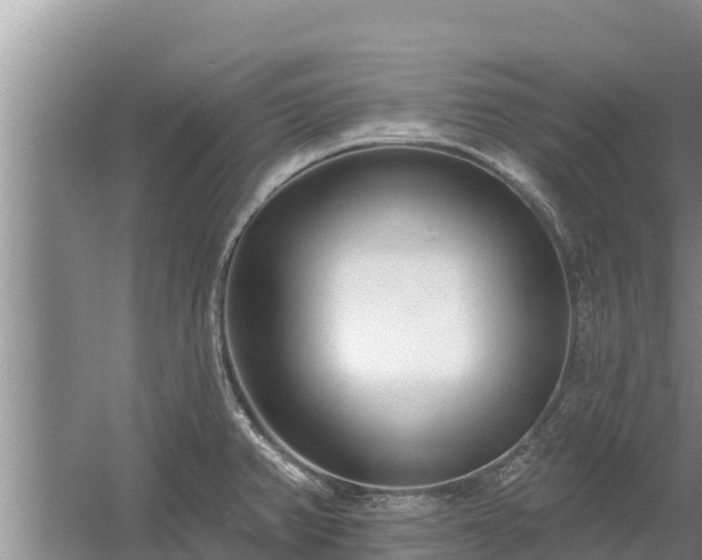 X0000058121382200509301915